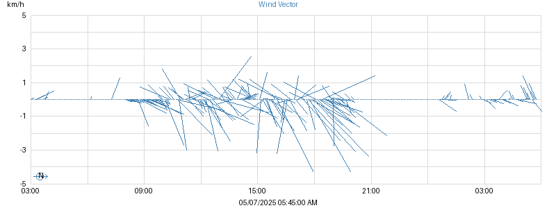 Wind Vector