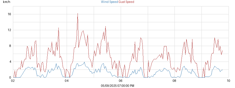 wind